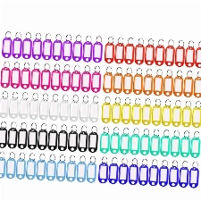 100 Stück Schlüsselanhänger, Kunststoff Schlüsselanhänger Beschriftbar Schlüsselschilder mit Schlüsselringen Key Label zum Schlüssel Koffern Haustieren Markieren(10 Farben)
