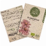 BIO Sonnenhut Samen, 100 Sonnenhutsamen, hohe Keimrate, 100% Natürlich von Little Plants, Wunderschöne Echinacea Purpur für deinen Balkon und Garten, BIO Blumensamen Nachhaltig Verpackt