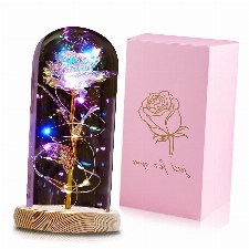 QUNPON Ewige Rosen Die Schöne und das Tier Rose Kit In Glas kuppel LED Lichter Künstliche Blumen Rose Geschenke für Frauen Mama Geschenk zum Geburtstag Valentinstag Muttertag Weihnachten