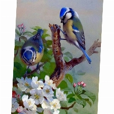 Sunnay Diamond Painting Set,Vogel Neu,5D Diamant Painting Kaufen Full Stickerei Groß 3D Bilder DIY Diamonds Shop,30 x 40 cm